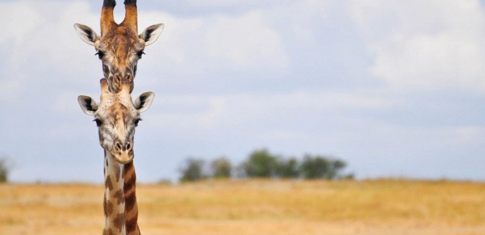 Рамблер Новости Дня